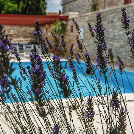 펜션 Grandparents 로비니